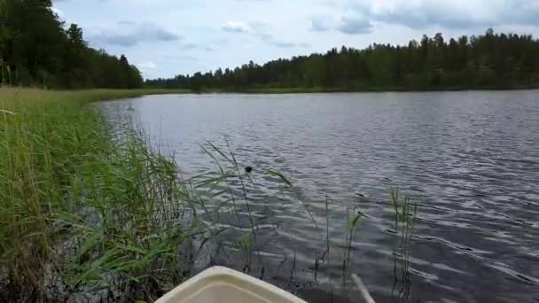 Movimento Lento Vista Gaivota Nadar Bela Paisagem Vista Lago Florestas — Vídeo de Stock