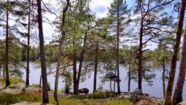 Чудовий Краєвид Природи Озеро Кам Янистою Береговою Лінією Синьою Поверхнею — стокове відео