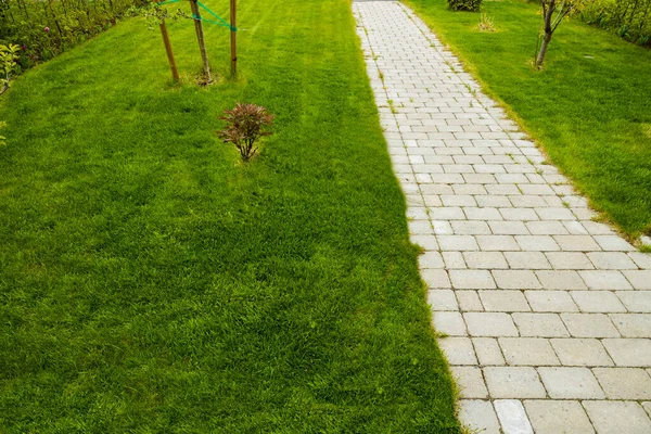 Piękny Widok Prywatny Ogród Letni Trawnik Krzew Piwonii Jabłoń Wiśnia — Zdjęcie stockowe