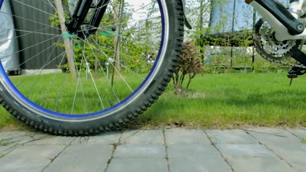 Vista Cerca Ruedas Bicicleta Estacionadas Jardín Privado Césped Verano Arbusto — Vídeos de Stock