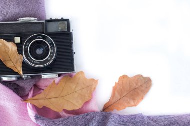 Vintage analog fotoğraf makinesi kuru akçaağaç Leaveson beyaz arka plan, üst görünümü .