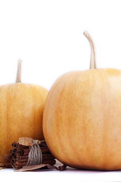 Autunno zucca su sfondo bianco  . — Foto Stock