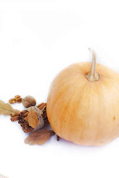 Zucca autunnale con noci, bastoncini di cannella e foglie. Celebrazione sfondo  . — Foto Stock