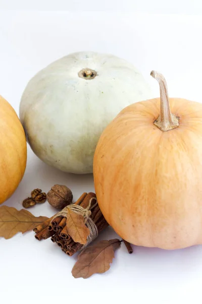 Zucca autunnale con cannella e foglie autunnali su sfondo bianco con spazio copia, messa a fuoco selettiva  . — Foto Stock