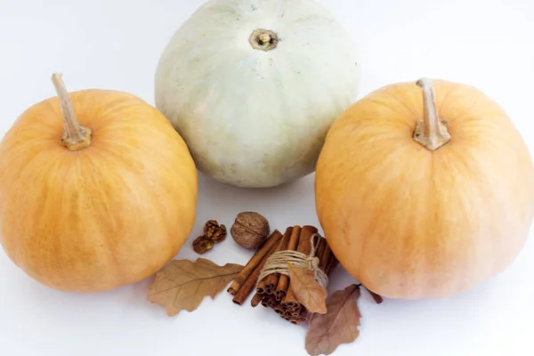 Zucca autunnale con cannella e foglie autunnali su sfondo bianco con spazio copia, messa a fuoco selettiva  . — Foto Stock