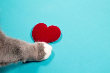 Hart ile kedi pençe
