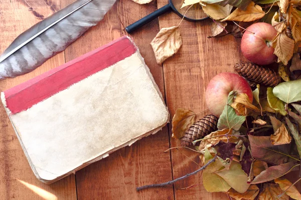 Vieux journal avec plume sur fond bois concept automne — Photo