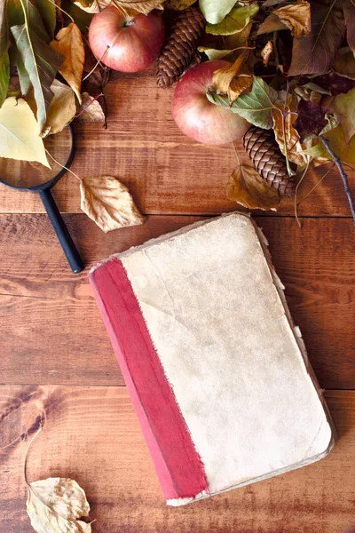 Herfst stilleven-oud boek onder de herfst laat op houten achtergrond.. — Stockfoto