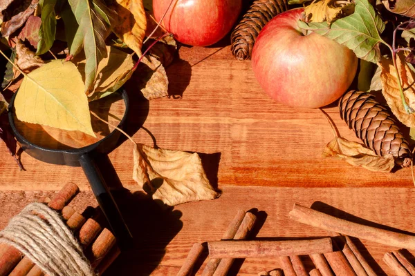 Mogna äpplen med kanelstänger på träbord, på trä bakgrund — Stockfoto