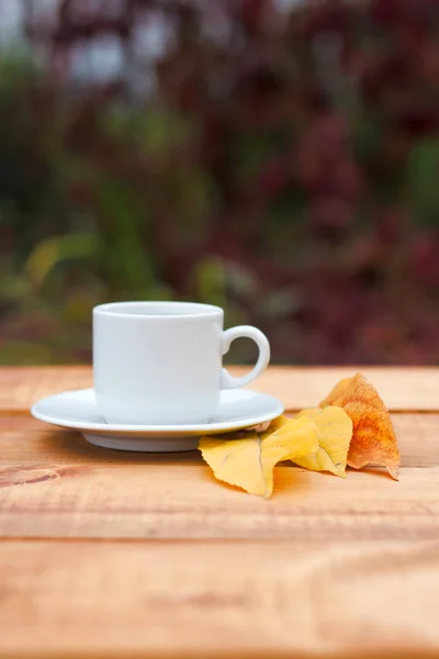Taza de café en la mesa vieja en otoño con arce árbol de hojas de colores en el jardín con espacio para copiar. Caída estacional y hermoso concepto de relax . — Foto de Stock