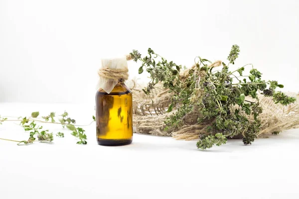 Organic essential thyme oil with green leaves. — Stock Photo, Image