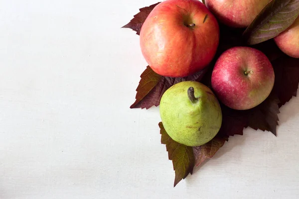 Frukter av höstens röda äpplen och päron — Stockfoto
