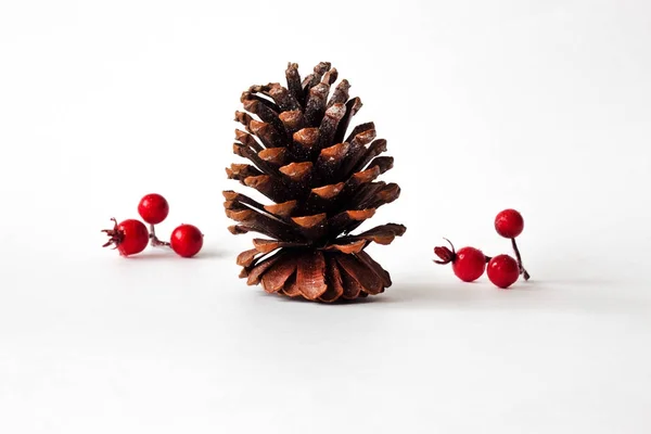 Cone decorations and berries — Stock Photo, Image