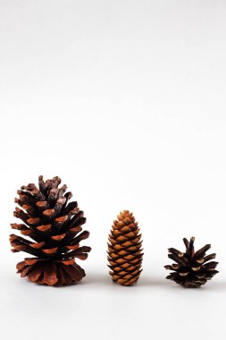 Farklı koniler, Noel süsleri