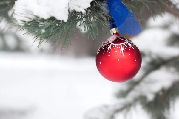 Christmas ball on the branches fir. Royalty Free Stock Photos