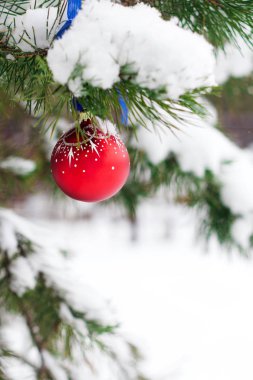 Buz ve kar Noel ağacının dalını topa Noel