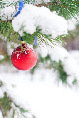 Noel kar kış ormandaki bir ağaç dalına asılı topu