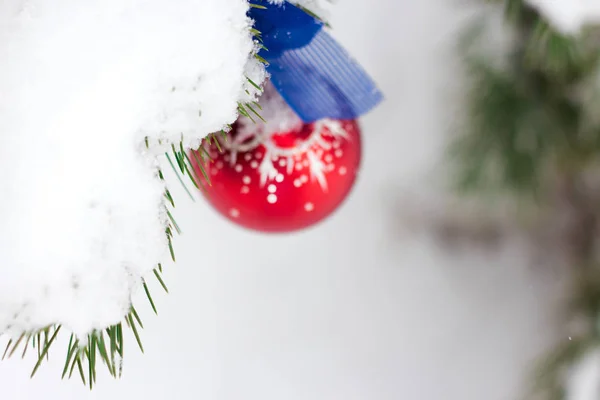 Röd julkula hänger på en trädgren i vinterskogen — Stockfoto