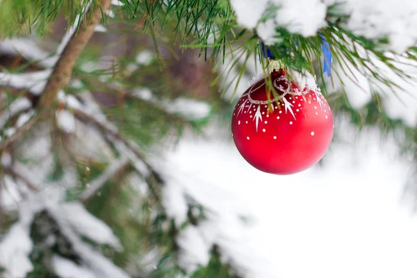 Röda dekorativa bollen på granen på på snö — Stockfoto