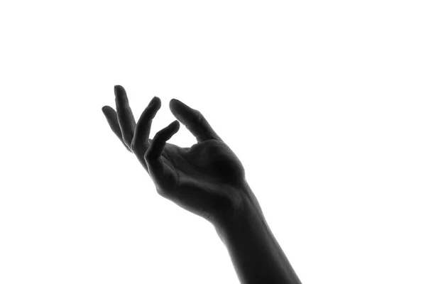 Junge Hände Silhouetten Auf Weißem Hintergrund Das Konzept Der Unterstützung — Stockfoto