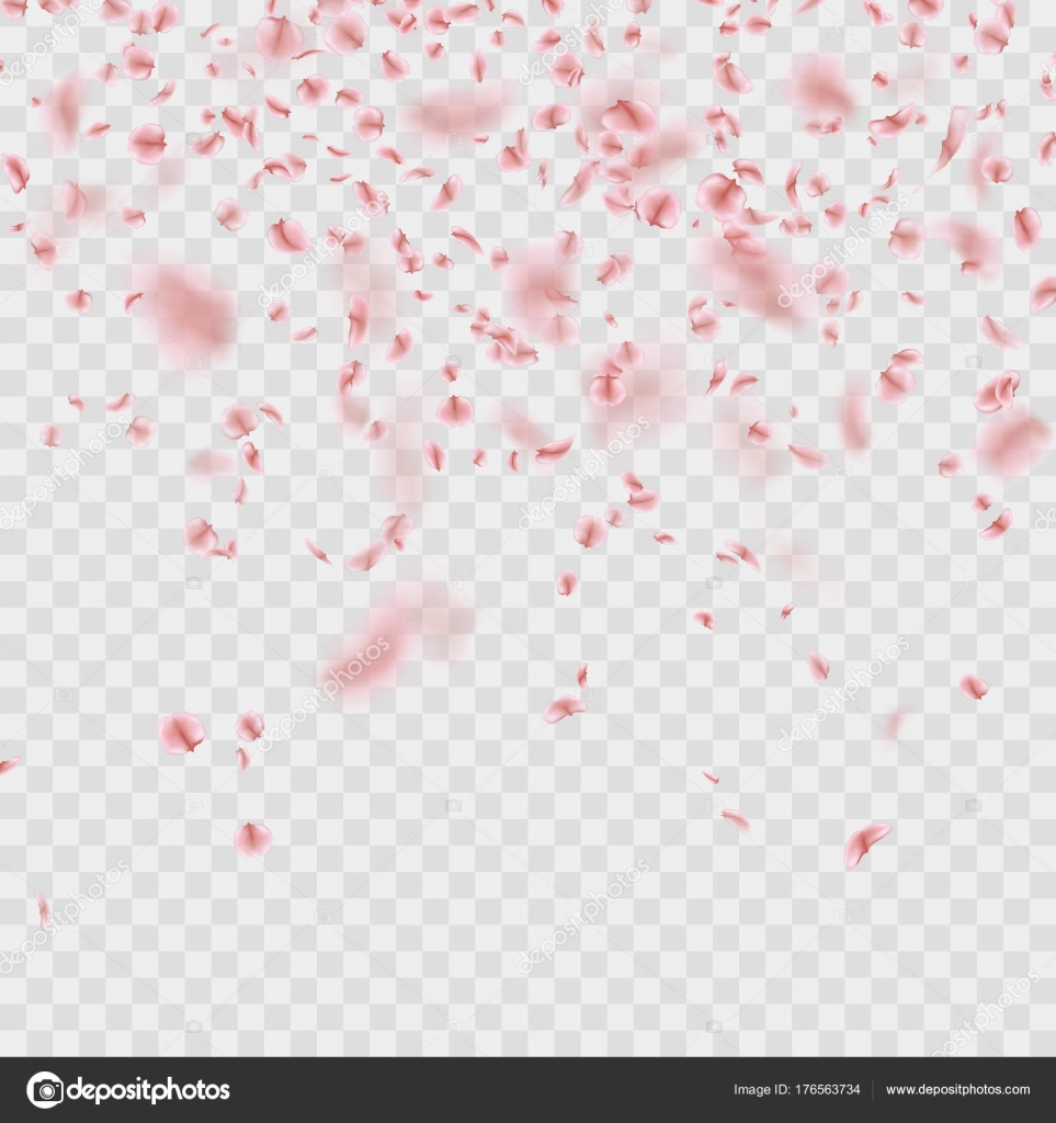 Scattered Sakura petals on transparent background. EPS 10 vector