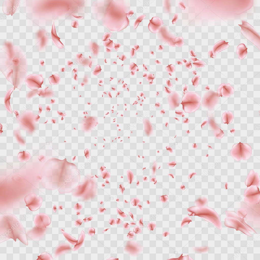 Fly Pink Sakura Petals Effect Isolated On Transparent Background