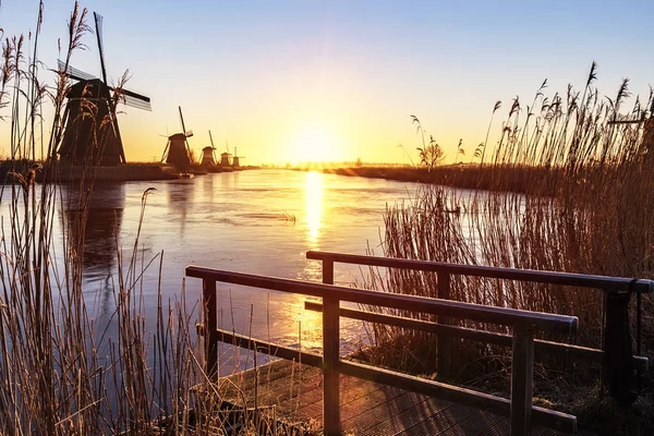 Il sole sorge al centro del sil allineamento mulino a vento Kinderdijk — Foto Stock