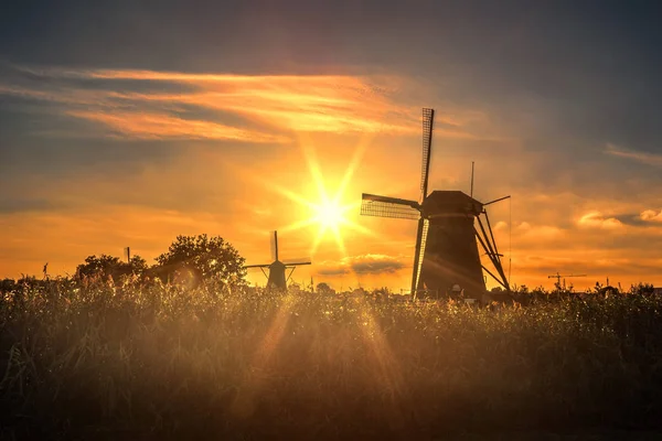 Kinderdijk wind mill — Φωτογραφία Αρχείου