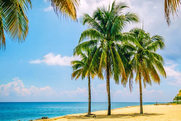 Isola tropicale con una nuvola — Foto Stock