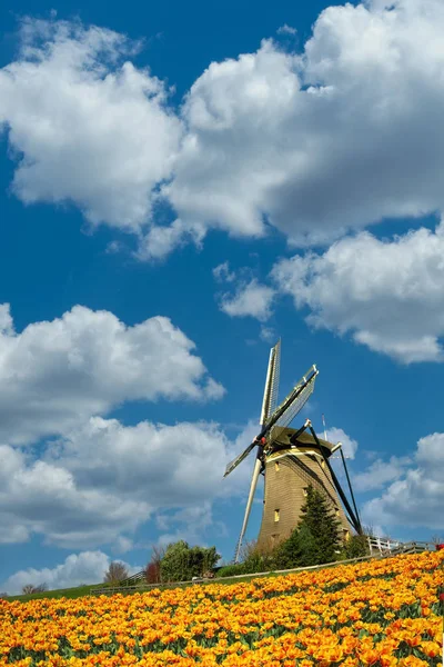 Iconisch Conceptbeeld Van Het Nederlandse Landschap Onder Een Zonnige Lentehemel — Stockfoto