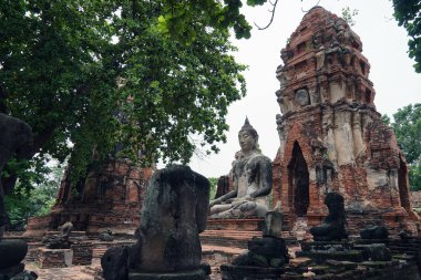 Şehir Ayutthaya Tayland tapınak Budizm Buda seyahat din
