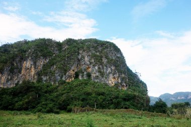 Vinales Vadisi Küba Karayip Kuba Unesco puro