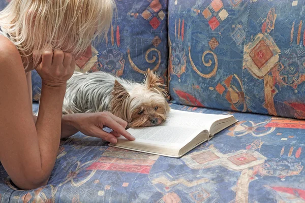 Leyendo un libro junto con Yorkshire terrier — Foto de Stock