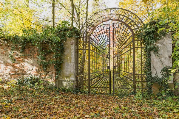 Locked iron gate in the autumn park. Horizontally. — Stock Photo, Image