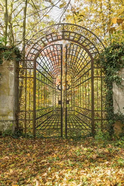 Locked iron gate in the autumn park. Vertically. — Stock Photo, Image