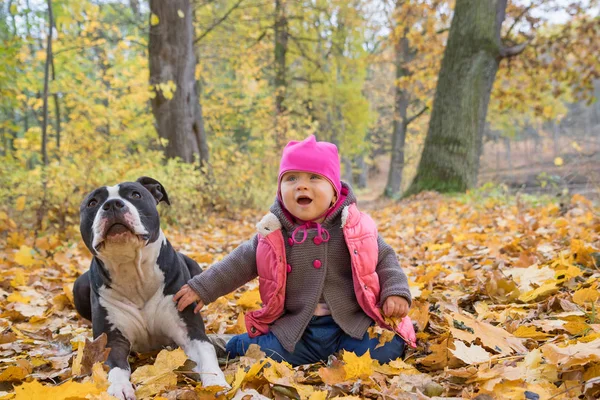 Meisje van de baby met Amerikaanse staffordshire Terriër outdoors — Stockfoto