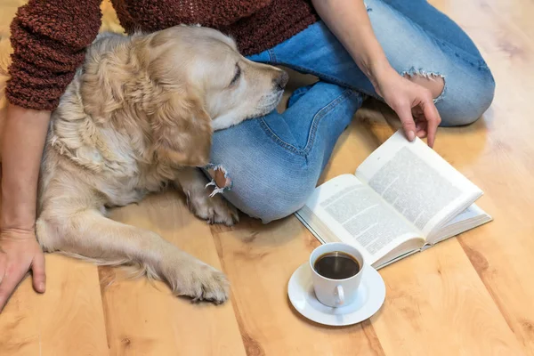 Livre de lecture avec le chien sur le sol — Photo