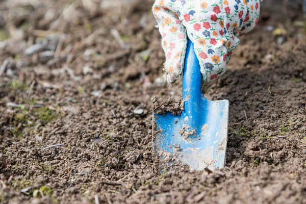 Копання лунки в грунті за допомогою садового леза — стокове фото