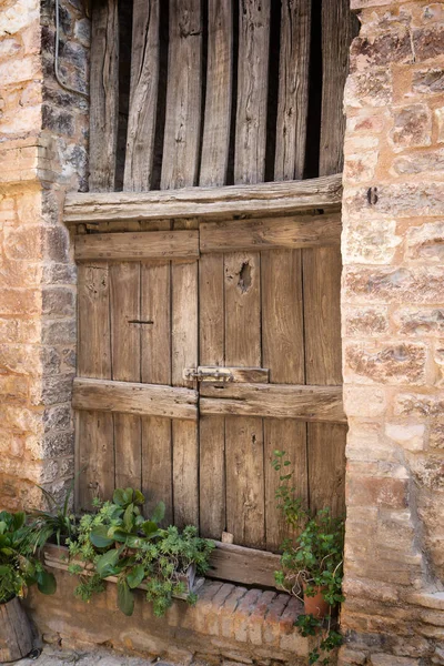 Side view of ancient wooden door decorated with plants — Stock Photo, Image