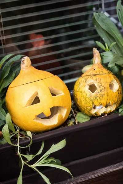 Two pumpkins on the window. Vertically. — Stock Photo, Image