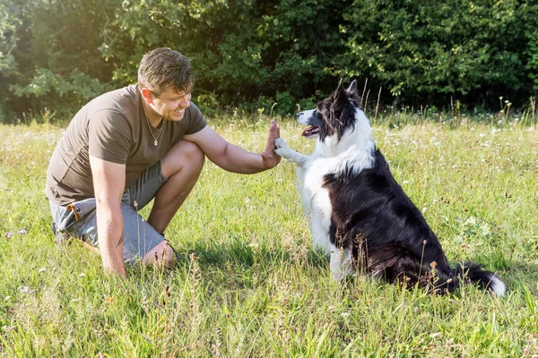 High five with the cute Border Collie — Stock Photo, Image