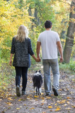 Genç çift ile sonbahar bir parkta yürümek a köpek açıktır