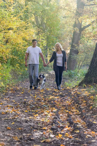 Vista frontal de una pareja caminando por un parque de otoño —  Fotos de Stock