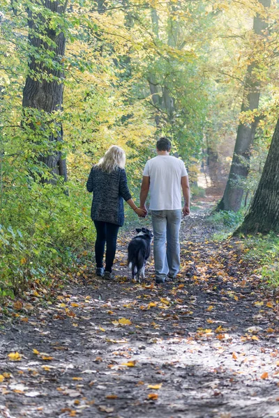 Rear view of a couple walking through an autumn park — Stock Photo, Image