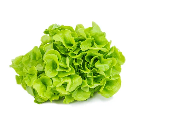 Зеленый салат готов к использованию . — стоковое фото