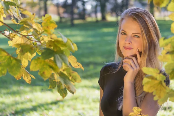 Az őszi parkban pózoló csábító fiatal lány portréja — Stock Fotó