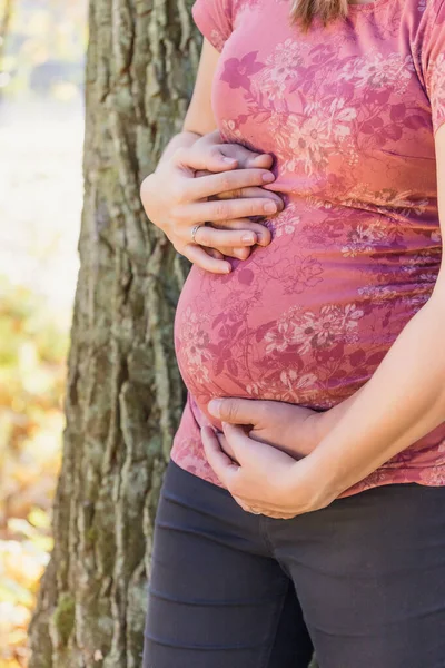 Femme enceinte tient les mains de son partenaire — Photo