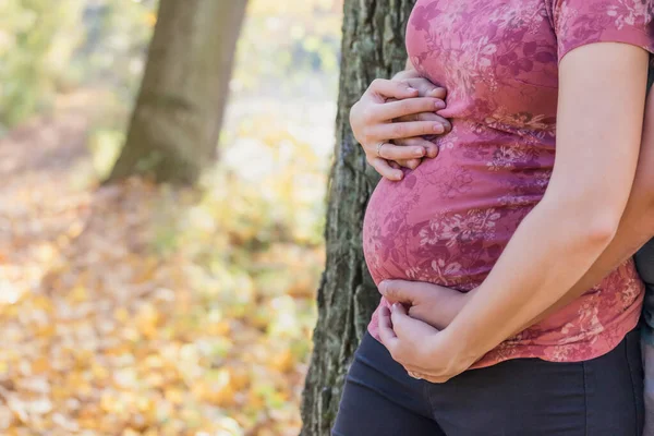 Femme enceinte tient son ventre de grossesse et les mains de son p — Photo