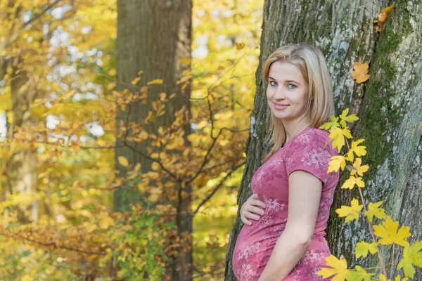 Portrait de jeune femme enceinte posant du côté — Photo