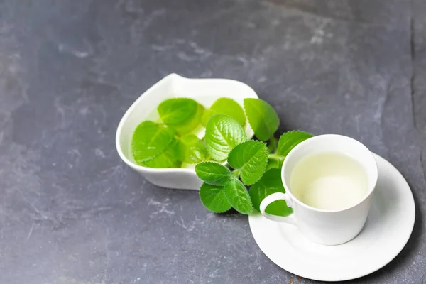 Cup of Silver Spurflower tea on stone slate plate. — Stock Photo, Image